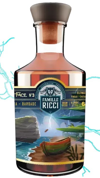 FAMILLE RICCI « Volt Face N°3 »